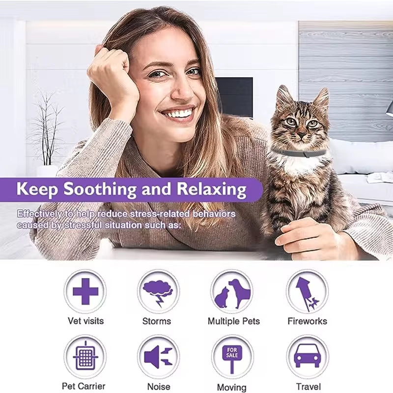 3/4 Pc Dogs Calming Pheromone Collars Cats Relieve Anxiety Adjustable Comfortable Collar for Puppy Kitten Large Pets Accessories