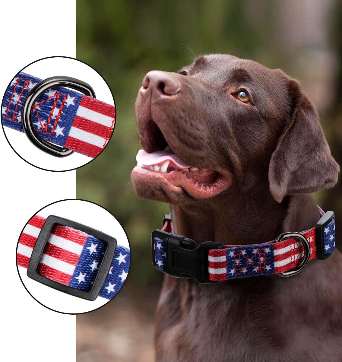 American Flag Dog Collar Independence Day Fourth of July the Great America Dog Collars Small